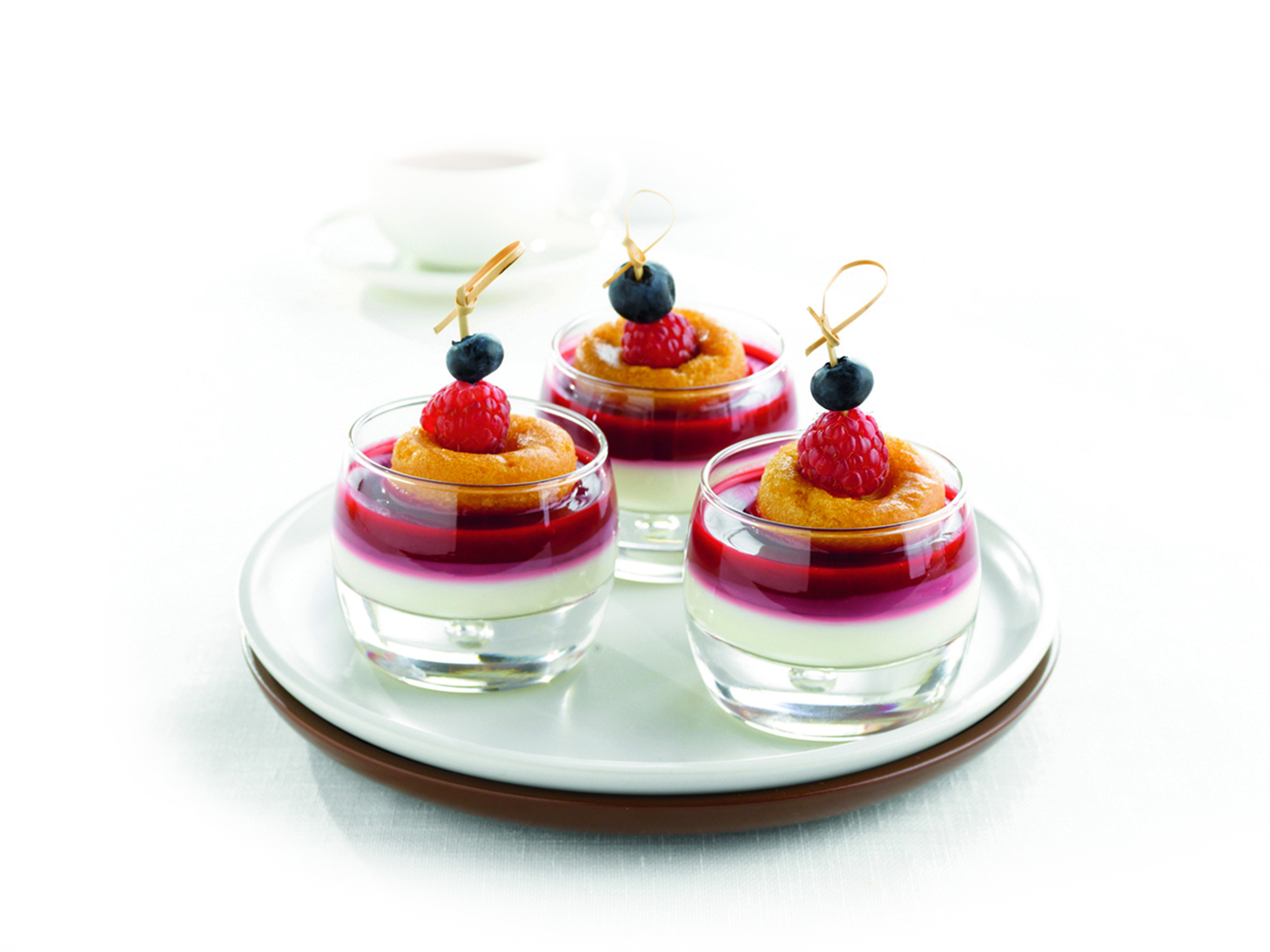 Mini Babas with Yogurt Cream and Raspberry Coulis Pidy Global